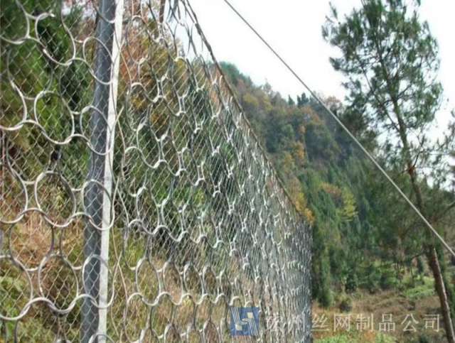 sns被動防護網(wǎng)--03