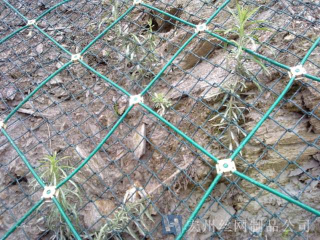 鋼絲繩網(wǎng)--06